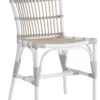 Elisabeth Side Chair 1 Elisabeth Side Chair -Outdoor Home Shop Product 444724972500 Image 1