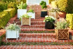 Frances Planter 13 Frances Planter -Outdoor Home Shop Product 444725662257 Image 6