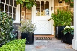 Frances Planter 14 Frances Planter -Outdoor Home Shop Product 444725662257 Image 7