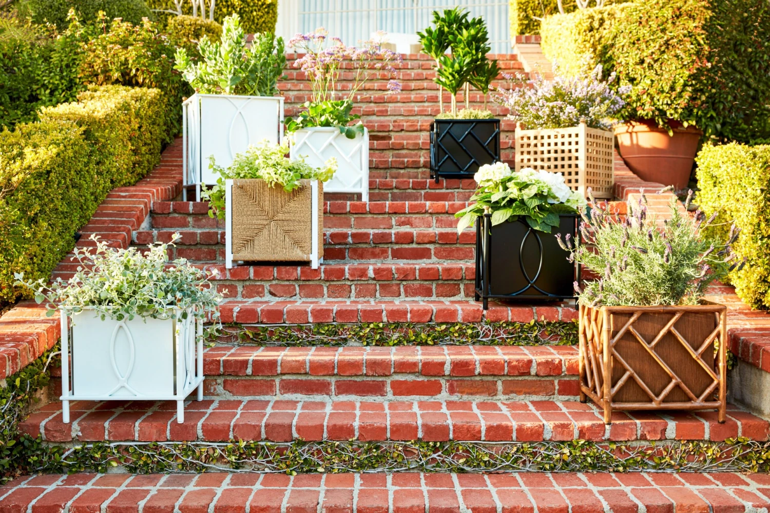 Frances Planter 6 Frances Planter - Image 4