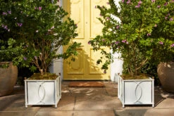 Frances Planter 12 Frances Planter -Outdoor Home Shop Product 444725662264 Image 7