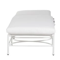 Frances Chaise 14 Frances Chaise -Outdoor Home Shop Product 444726018961 Image 7