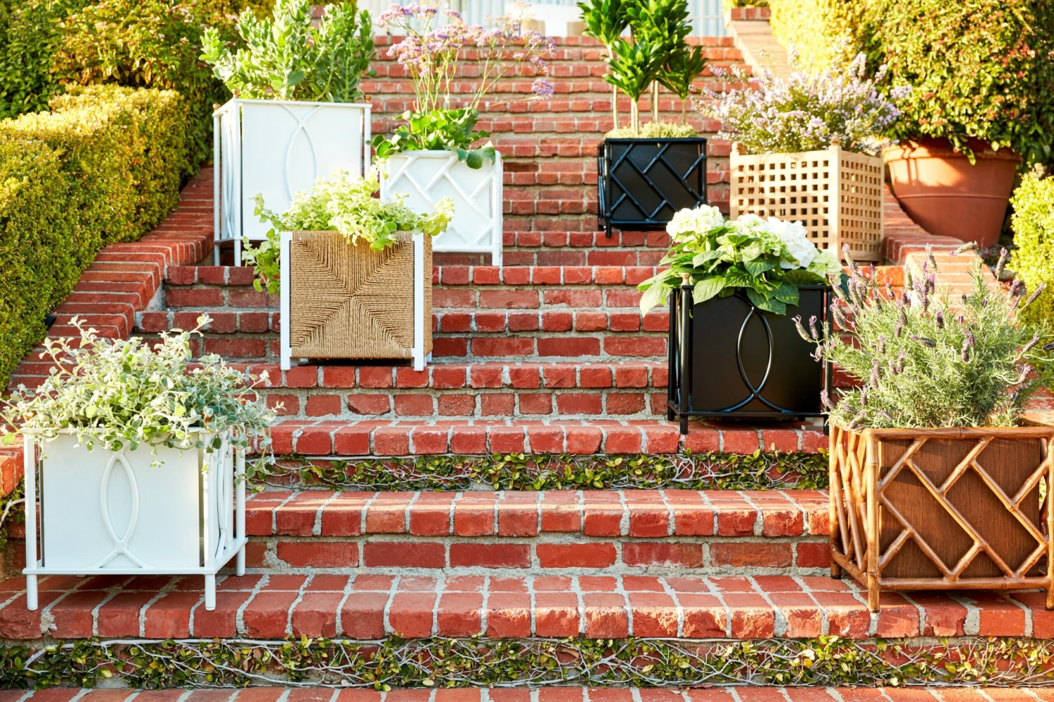 Kit Chippendale Planter 6 Kit Chippendale Planter - Image 4