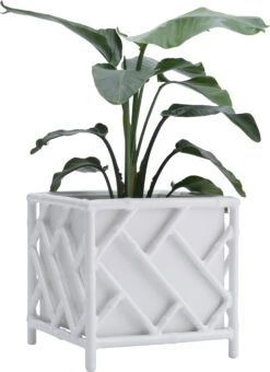 Kit Chippendale Planter 15 Kit Chippendale Planter -Outdoor Home Shop Product 444726069833 Image 7