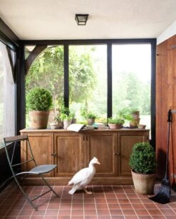 Vista Dining Chair -Outdoor Home Shop Product 444726082429 Image 14