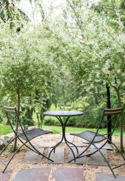 Vista Dining Chair -Outdoor Home Shop Product 444726082429 Image 15