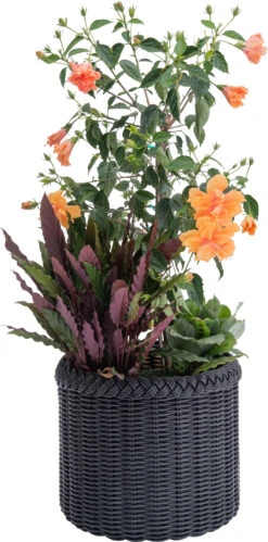 Emilia Planter 17 Emilia Planter -Outdoor Home Shop Product 444726269561 Image 8
