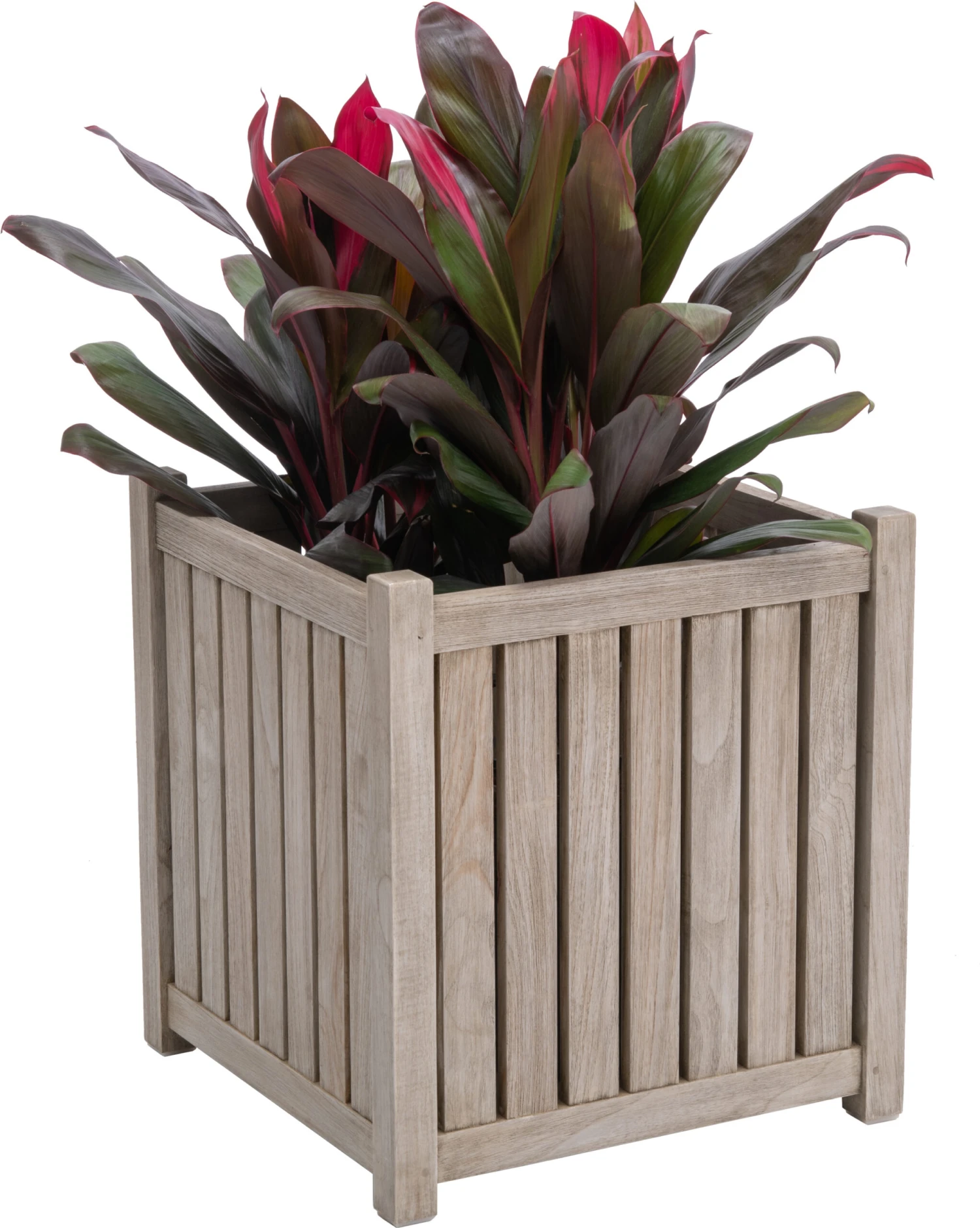 Highland Planter 8 Highland Planter - Image 6