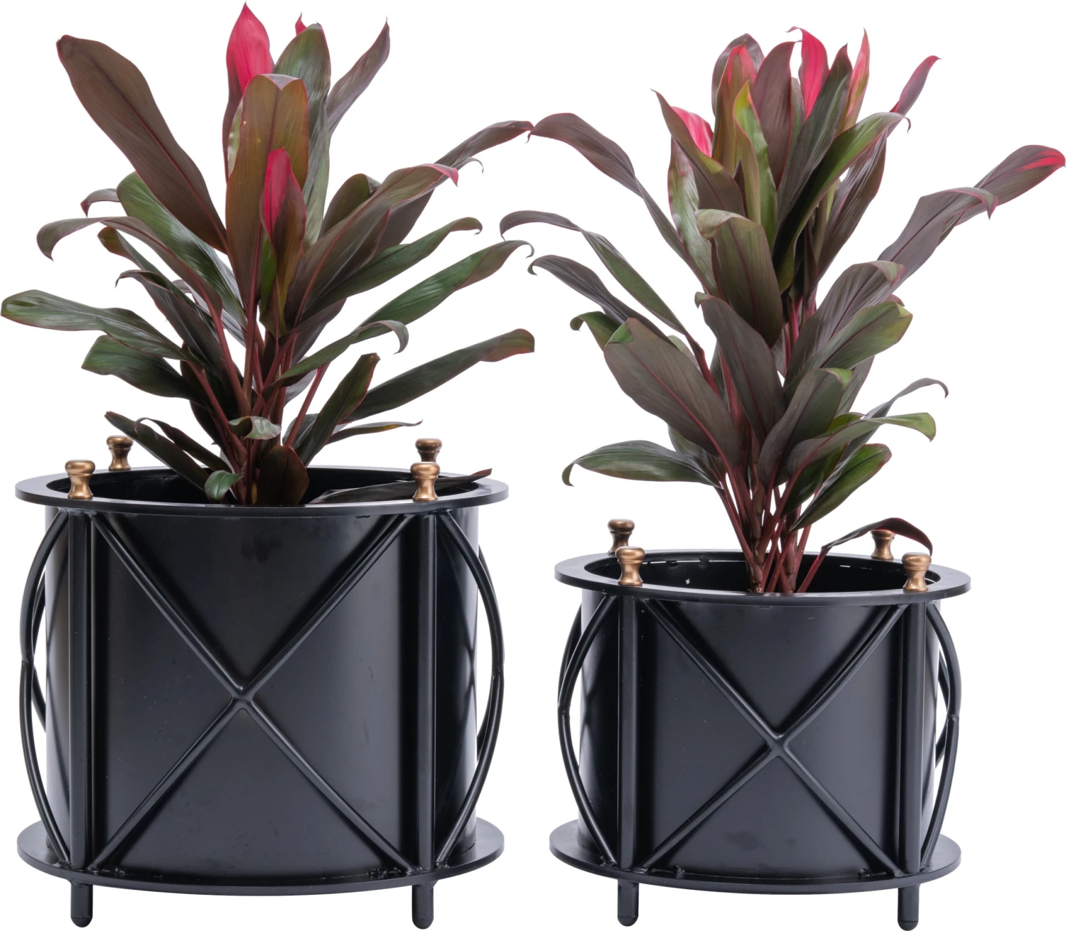 Frances Round Planter 10 Frances Round Planter - Image 8