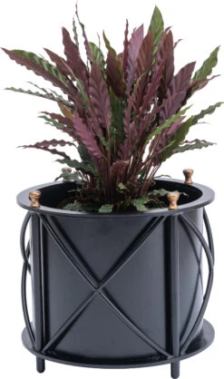 Frances Round Planter 20 Frances Round Planter -Outdoor Home Shop Product 444726311826 Image 9