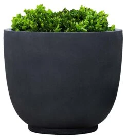 Danilo Planter