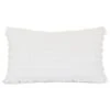 Faye Outdoor Pillow 1 Faye Outdoor Pillow -Outdoor Home Shop Product 723839455031 Image 1