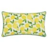 Benita Outdoor Pillow 1 Benita Outdoor Pillow -Outdoor Home Shop Product 723839455093 Image 1