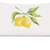 Citrus Pillow -Outdoor Home Shop Product 723839503466 Image 1
