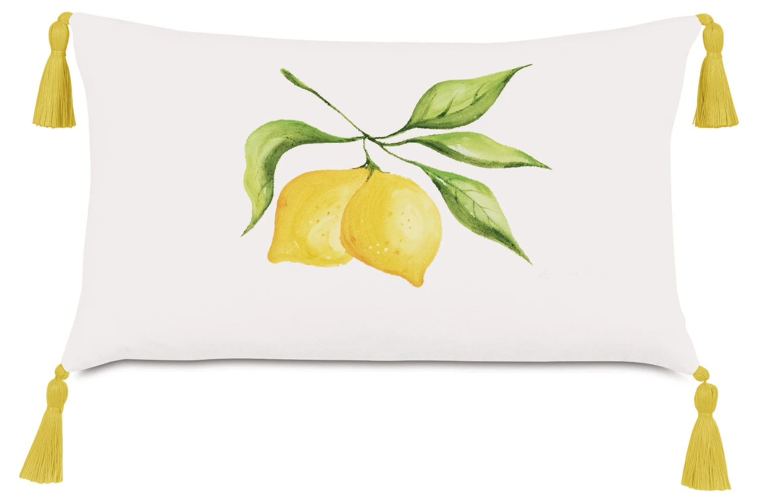 Citrus Pillow 3 Citrus Pillow