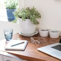 Berry & Thread Planter & Saucer I 9 Berry & Thread Planter & Saucer I -Outdoor Home Shop Product 810034834119 Image 4