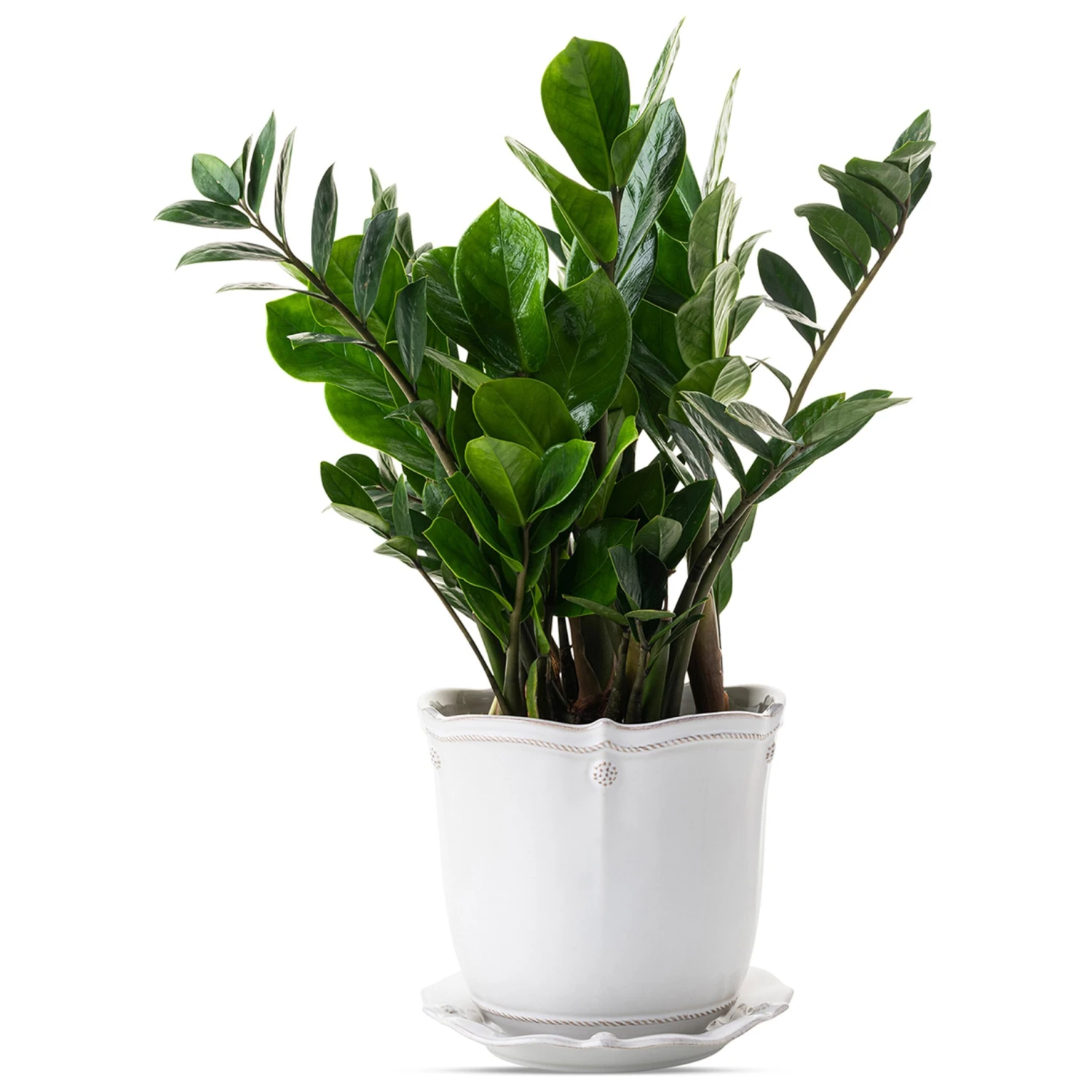 Berry & Thread Planter & Saucer II 4 Berry & Thread Planter & Saucer II - Image 2