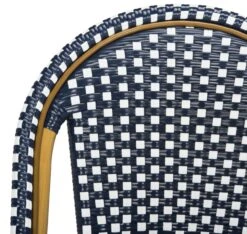 Odeon Side Chairs -Outdoor Home Shop Product 889048322981 Image 6