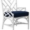 Chippendale Armchair -Outdoor Home Shop Product DAV10990 Image 1