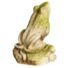 14" Garden Estate Frog, White Moss 2 14" Garden Estate Frog, White Moss -Outdoor Home Shop Product HQV10003 Image 1