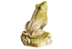 14" Garden Estate Frog, White Moss
