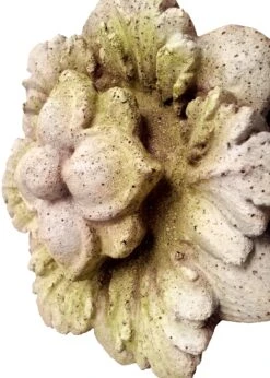 9" Star Leaf Accent, White Moss -Outdoor Home Shop Product HQV10064 Image 2