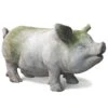 18" Pot Belly Pig, White Moss -Outdoor Home Shop Product HQV10075 Image 1