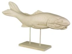 38" Oriental Catfish, Gray