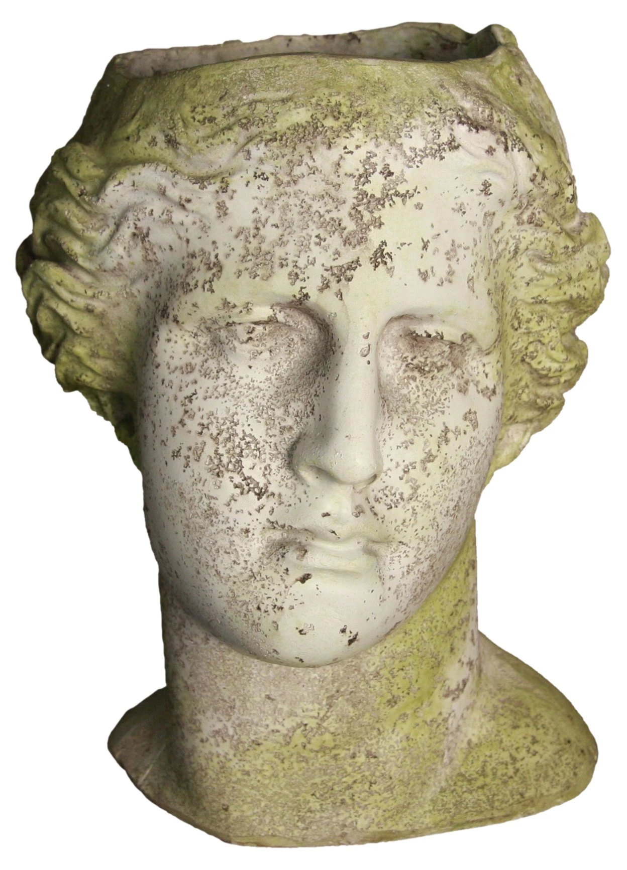 14" Venus Head Planter, White Moss 3 14" Venus Head Planter, White Moss
