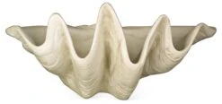 48" Giant Clam, Antiqued Stone