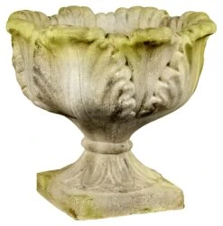 19" Acanthus Planter, White Moss