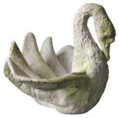 17" Swans Shell, White Moss