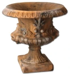 20" Atlantis Planter, Autumn Rose