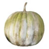 37" Pumpkin, White Moss -Outdoor Home Shop Product HQV10561 Image 1