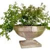 Smooth Strap Urn, White Moss -Outdoor Home Shop Product HQV10573 Image 1