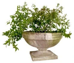 Smooth Strap Urn, White Moss