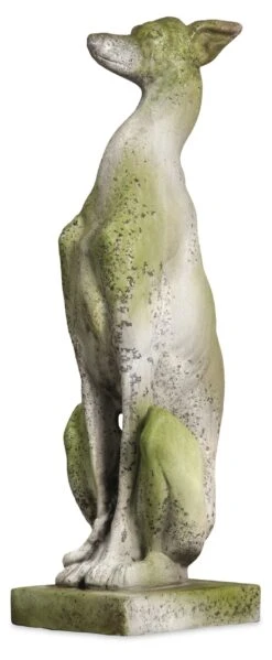 30" Whippet Dog, White Moss