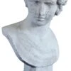 Antinous Bust -Outdoor Home Shop Product HQV10625 Image 1