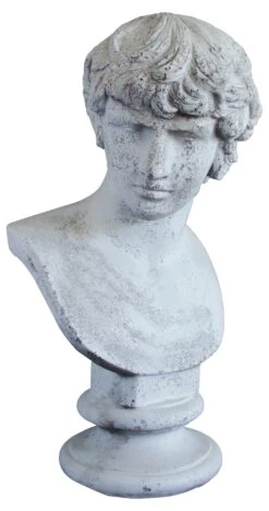 Antinous Bust
