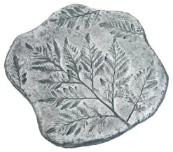14" Fossil Fern Stepper, Alpine Stone