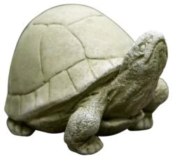 5" Box Turtle, English Moss