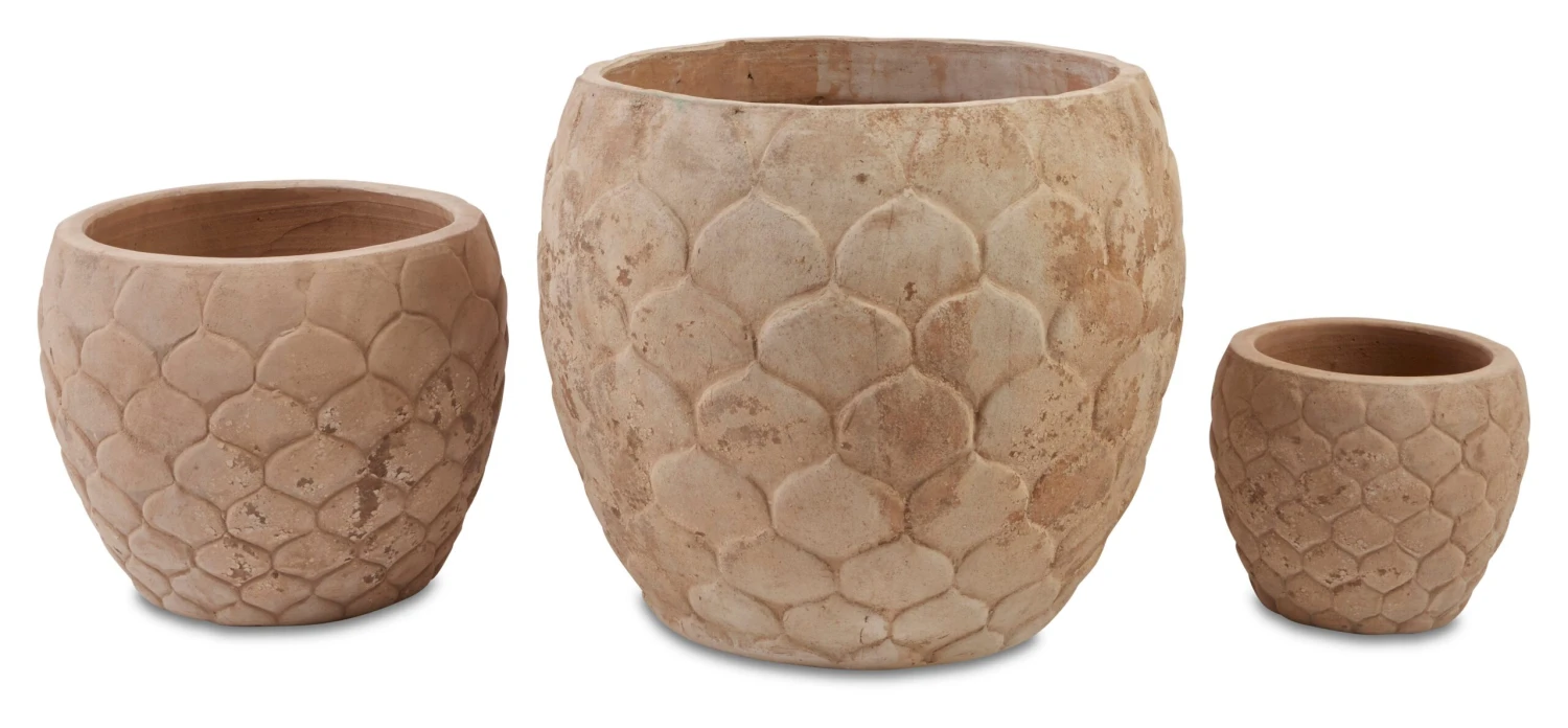 Pina Planters 3 Pina Planters