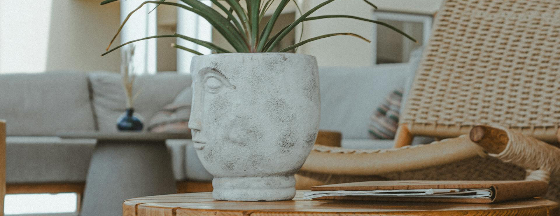 Outdoor Home Shop 2 Outdoor Home Shop -Outdoor Home Shop pexels anna shakhrai 129681881 29775273