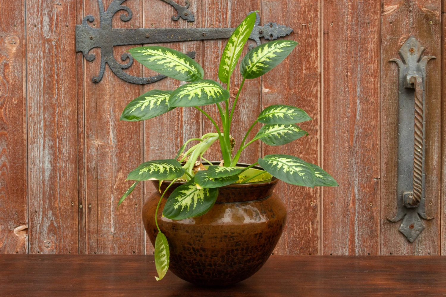 Antique English Copper Pot 4 Antique English Copper Pot - Image 2